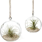 Kshlerin Inc Terrarium Necklaces